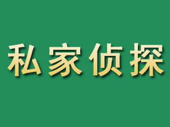 沿河市私家正规侦探